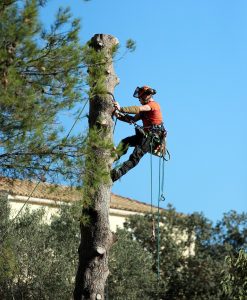 Lubrifiant huile chaîne de tronçonneuse abatteuse 10/12AD